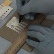 Interpreting Canine VacciCheck Test