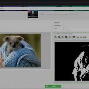 Color Binary Image Numpy To Rgb Color Python