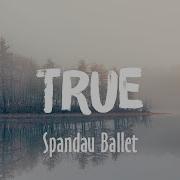 True Spandau Ballet Lyrics