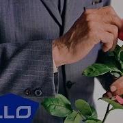DOUBLE JULI Радуй мир ELLO UP