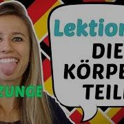 GERMAN LESSON 47 BODY PARTY IN GERMAN DIE KÖRPERTEILE