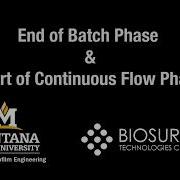 Chapter 15 End Of Batch Phase