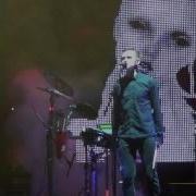 Дельфин Sunset KUBANA 2012