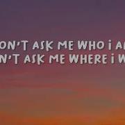 MGMT Nothing To Declare Lyrics