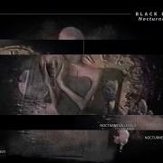 Nocturne VA Level 5 PRE ORDER Black Kat