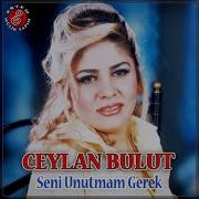 Gönlüm Seni Ateşlerde