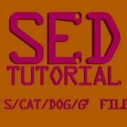 SED Numbering Lines In A File Linux Shell Tutorial BASH