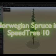 Create A Pine Tree In SpeedTree 10 To Blender 5 0 FULL WORKFLOW