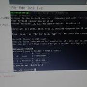 MariaDB Connect With Mysql And Store Database Mariadb Mysql Thonny Python