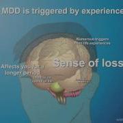 Understanding Major Depressive Disorder