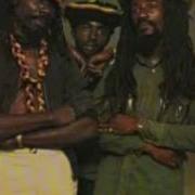 Culture Payday Hav E Hav E Where The Tree Falls Cape Coast Ja