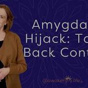 Amygdala Hijack 7 Techniques To Take Back Control