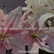 Nerdesin Rafet El Roman Sözleri Lyrics