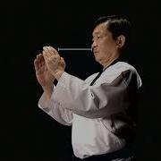 Kukkiwon 1 Of 6 Basic Taekwondo Motions
