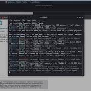 13 SQL Injection In Kali Linux 2021