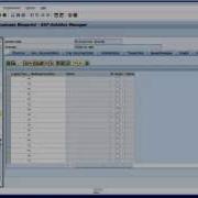 SAP Solution Manager System Landscape