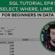 SQL TUTORIAL EP 1 BASICS SELECT WHERE LIMIT AND OR For Beginners In Data Science