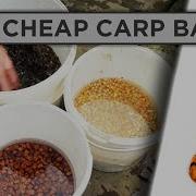 How To Prepare Particles For Carp Fishing Catch More Carp And Spend Less Money