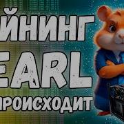 GPU Mining PEARL Coin What S Happening