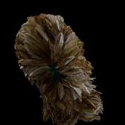 Houdini Feather System Karma XPU