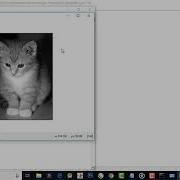 Reading And Writing The Image With Matplotlib