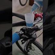 Best Easiest Way To Bleed Shimano Brakes Mtb Shrots