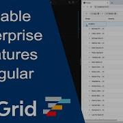 Enabling AG Grid Enterprise Features In Angular