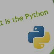 Why Python Is The Most Popular Programming Language