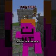 You Can Beat The Game In Superflat