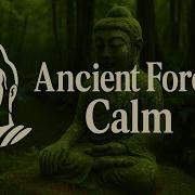 Ancient Forest Calm Deep Meditation Music With Buddha Moss Statue
