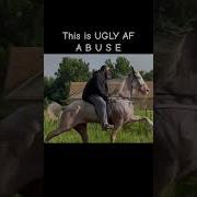 Tennessee Walking Horses THE CONTROVERSY Big Lick Aka Padded Performance Stophorseabuse