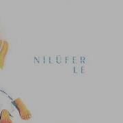Nilüfer Mavilim 4K