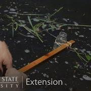 Taking A Water Sample
