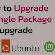 How To Upgrade A Single Package With Apt On Ubuntu Debian