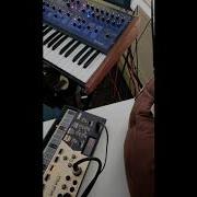 HW Probability Jam