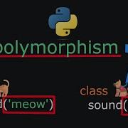 The Polymorphism Trick Every Python Beginner Needs