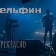 Дельфин Прекрасно