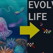 Evolution Simulator The Life Engine