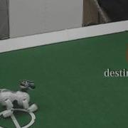 Behavior Generated By Offline Dynamic Programming Value Iteration
