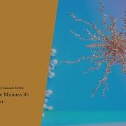 Houdini In Five Minutes 10 Procedural Animations Using The SOP Solver