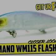 Future Suspending Bass Fishing Jerkbait Shimano Flashboost World Minnow