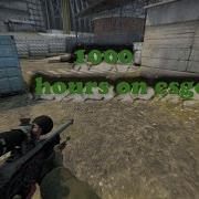 Plain Jane 1000 Hours On CSGO