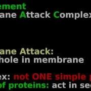 Immuno Complement Easy Tutorial Mnemonic Animation Immunology Membrane Attack Complex MAC