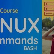 Linux Command Line And Bash With Cygwin File Systems 1 Hour
