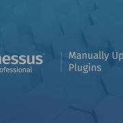Manually Update Plugins In Nessus Professional