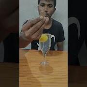 Lemon Flipping Coin In Water Shorts Power Slack