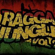 RAGGA JUNGLE Vol 2