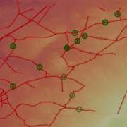Leaflet Maps In R