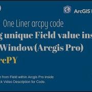 Arcpy Printing Unique Value From Field Within Arcgis Pro Inside Python Window