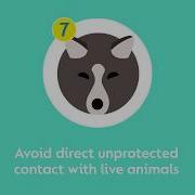 8 Steps To Preventing The Spread Of Respiratory Viruses